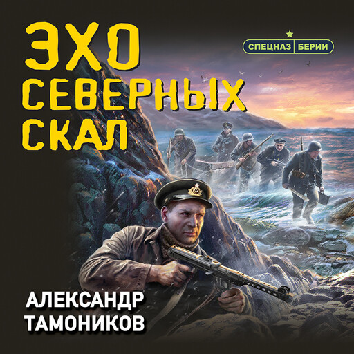 Тамоников а. Смерш спецназ сталина. А. Тамоников а. Холодная акватория аудиокнига.